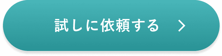 試しに依頼する